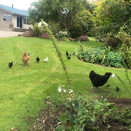 Southland Organic Farmstay Invercargill Zewnętrze zdjęcie