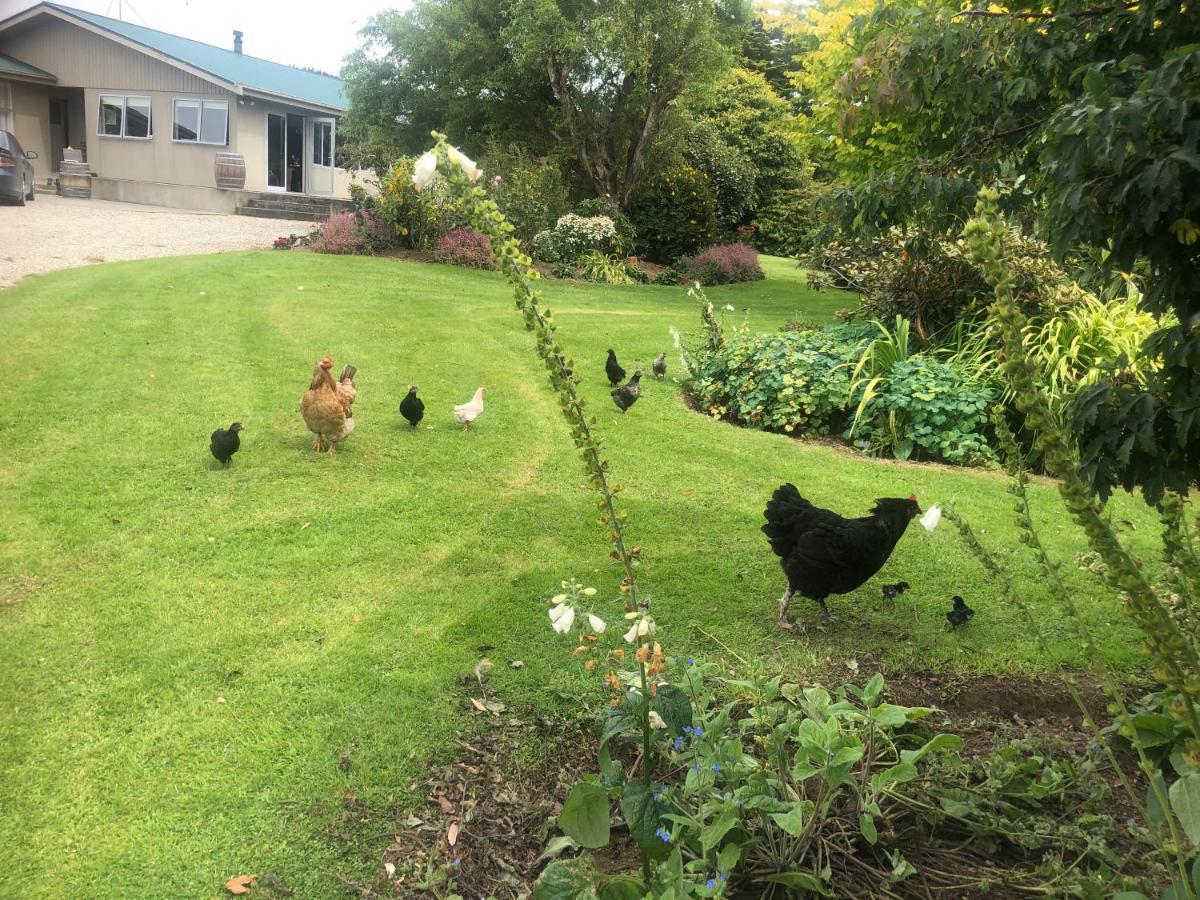 Southland Organic Farmstay Invercargill Zewnętrze zdjęcie